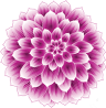 Blomstergalleriet i Grave