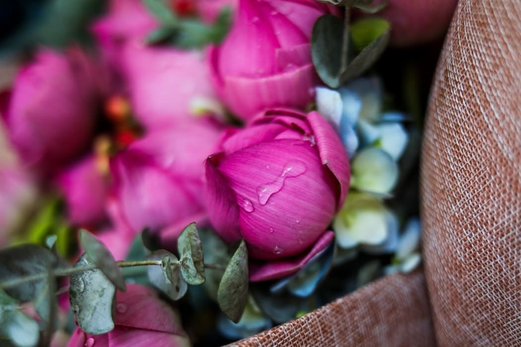 Blomster galleriet i Greve